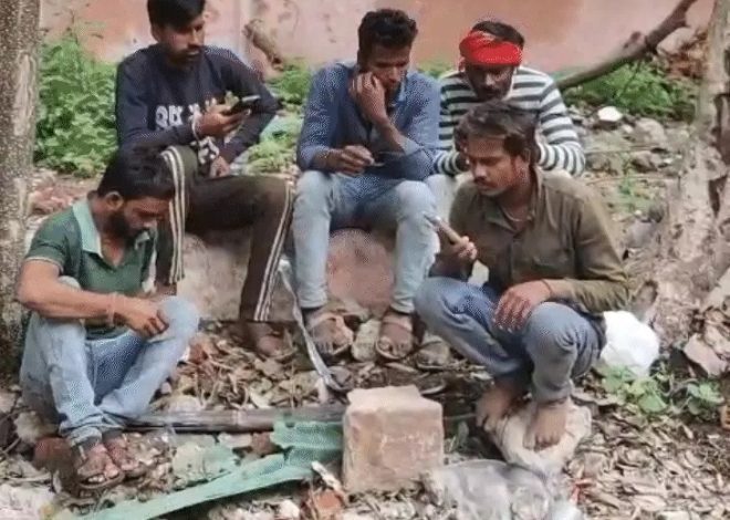 Bhopal News: मिक्सर मशीन पलटी, युवक की मौत