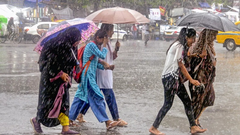 MP News: आज 3 जिलों में भारी बारिश का अलर्ट