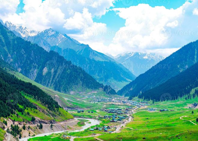 उमर अबदुल्ला ने जम्मू-कश्मीर को पूर्ण राज्य का दर्जा वापस दिलाने के लिए विधानसभा में प्रस्ताव पेश किया