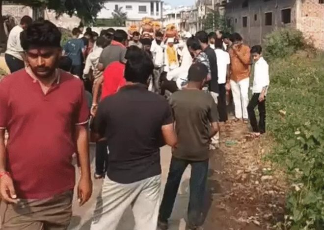MP NEWS: जवारा विसर्जन के दौरान मधुमक्खियों का हमला, 40 लोग घायल