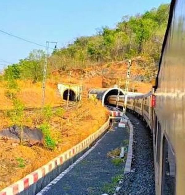 MP News: बुधनी-बरखेड़ा रेल सेक्शन में वन्यजीवों की सुरक्षा के लिए होगी दोनों ओर फेंसिंग
